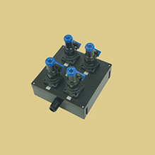 嘉兴BXS8030系列防爆防腐电源插座箱(IIB、IIC)