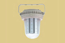 衢州FZD181-202系列免维护(三防)LED防眩泛光灯(固定式通用灯具) Ⅱ型