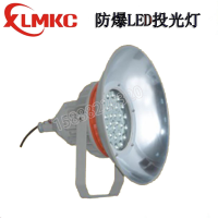 温州BZD188-06系列防爆免维护LED投光灯(IIC)
