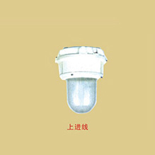 嘉兴BGL-S系列防爆防腐HID照明灯(IIC)