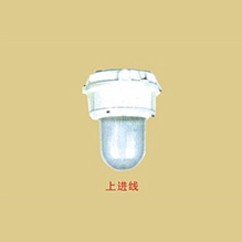 宁波FGL-S-口系列防水防尘防腐照明灯
